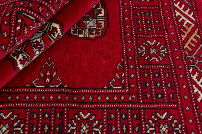 Pakistan Buchara 3Ply - 2