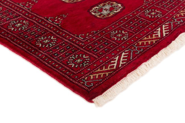 Pakistan Buchara 3Ply - 3