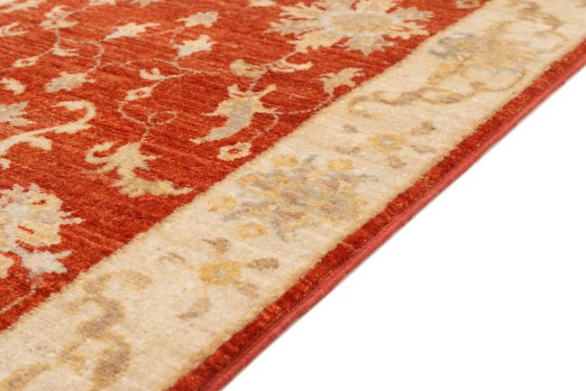 Ziegler Farahan - 5
