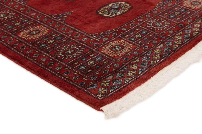 Pakistan Buchara 2ply - 3