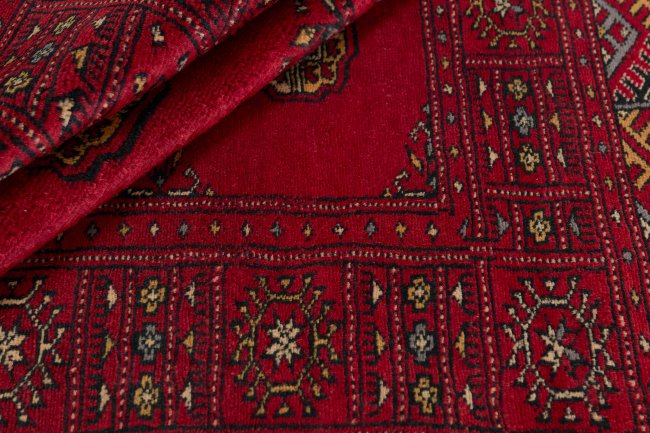 Pakistan Buchara 3Ply - 2