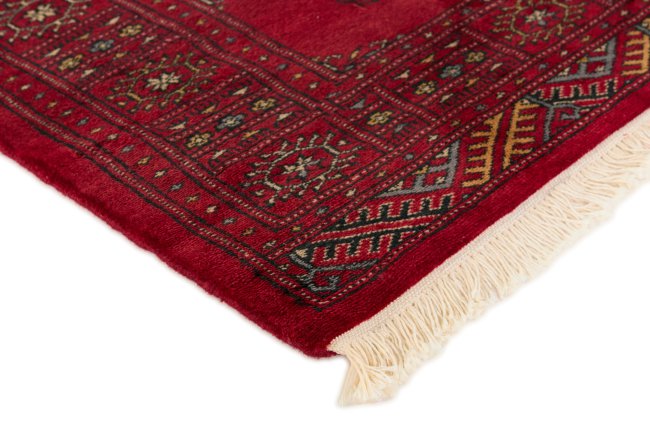 Pakistan Buchara 3Ply - 3