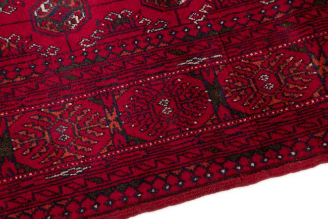 Afghan Mauri - 4