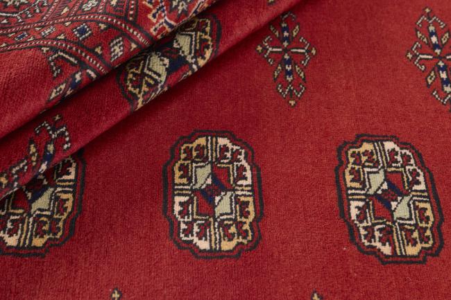 Pakistan Buchara 2ply - 2