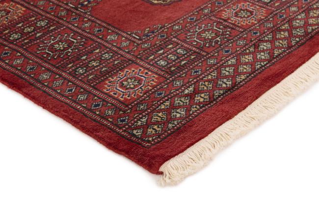 Pakistan Buchara 2ply - 3