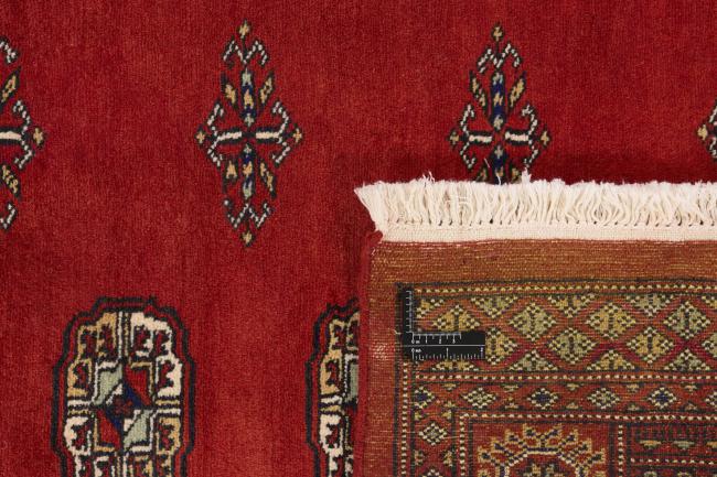 Pakistan Buchara 2ply - 1