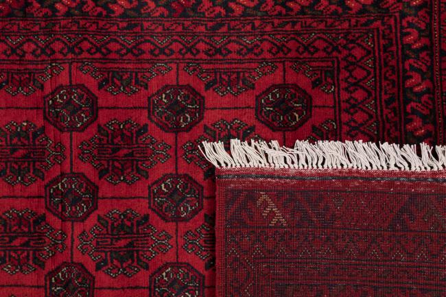 Afghan Mauri - 6