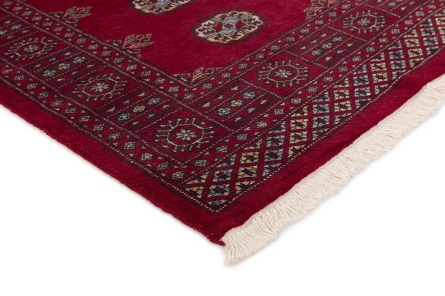 Pakistan Buchara 2ply - 3