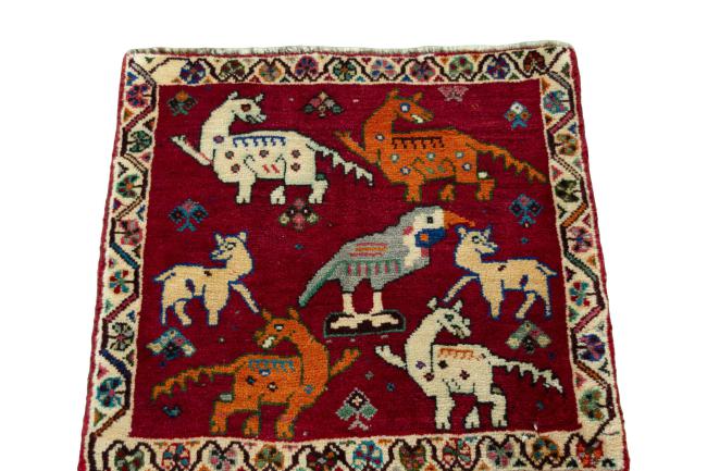 Shiraz - 3