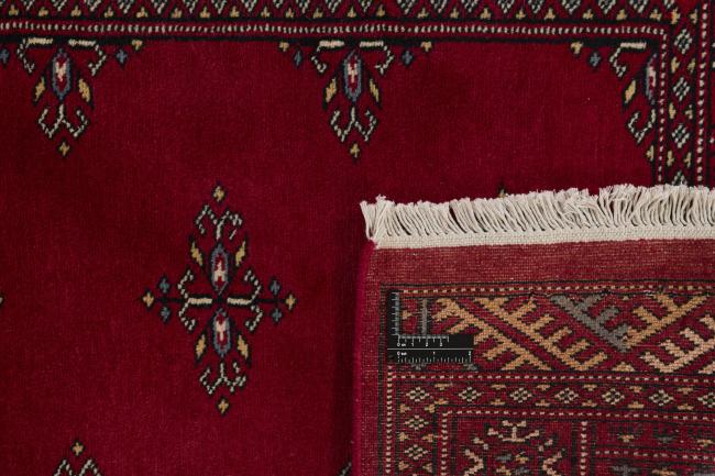 Pakistan Buchara 2ply - 1