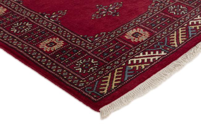 Pakistan Buchara 2ply - 3