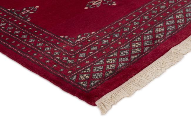 Pakistan Buchara 2ply - 3