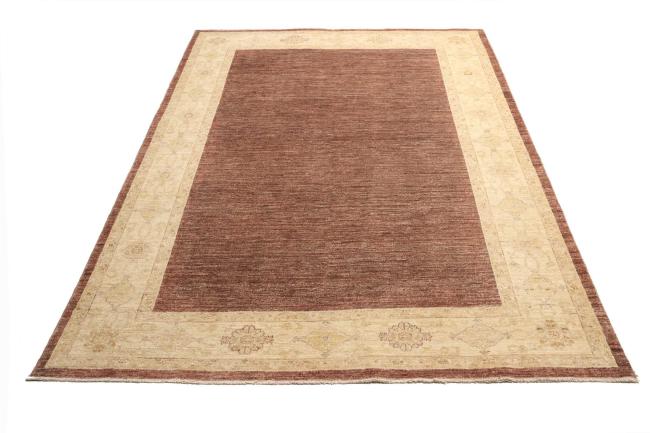 Ziegler Farahan - 6