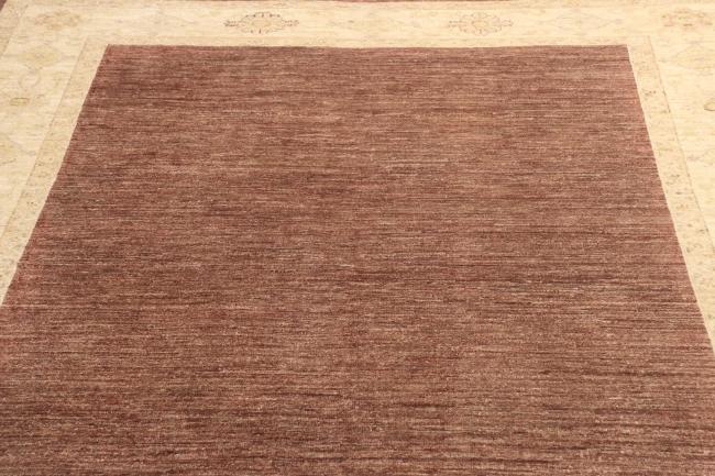 Ziegler Farahan - 11