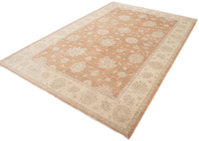 Ziegler Farahan - 2