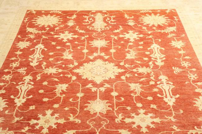 Ziegler Farahan - 11