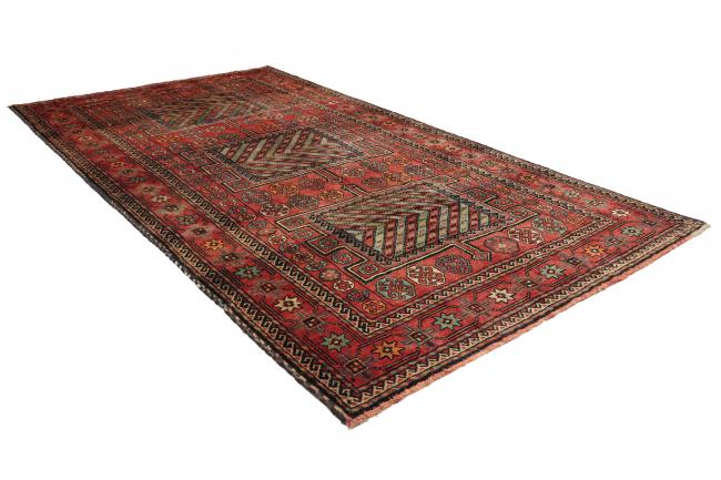 Shiraz - 2