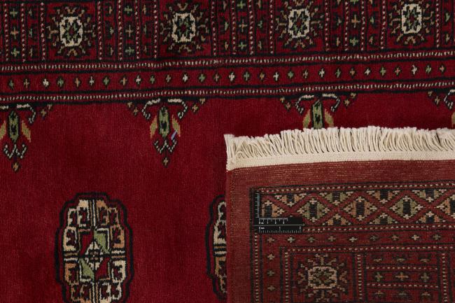 Pakistan Buchara 2ply - 1