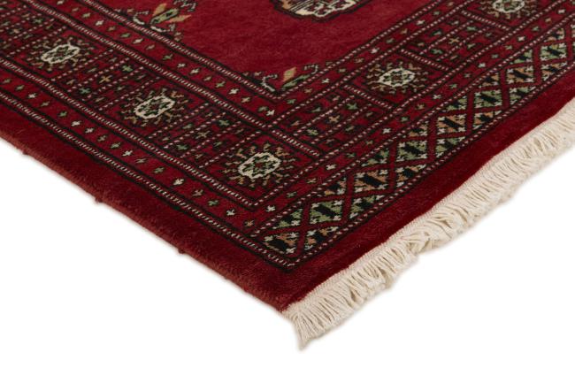 Pakistan Buchara 2ply - 3