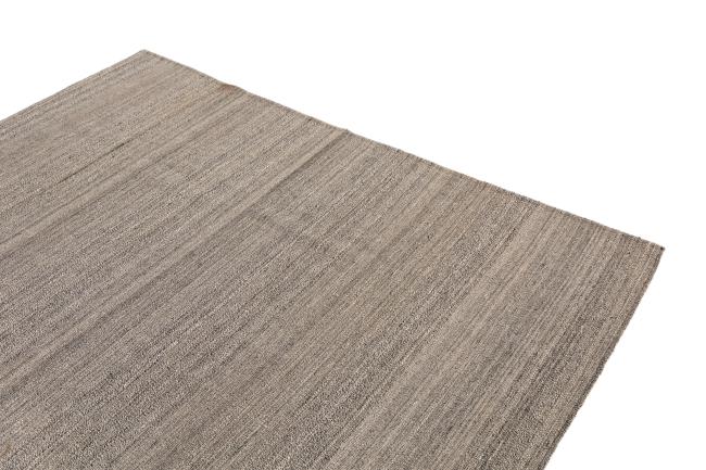 Elysian Limited - 2
