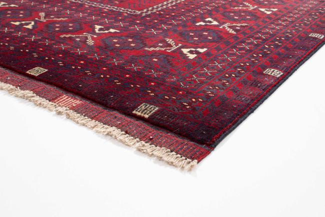 Afghan Mauri - 2