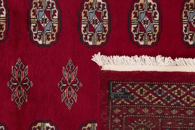 Pakistan Buchara 2ply - 1