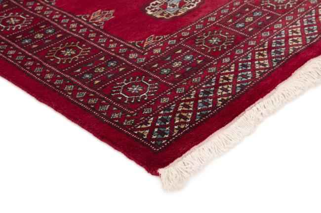 Pakistan Buchara 2ply - 3