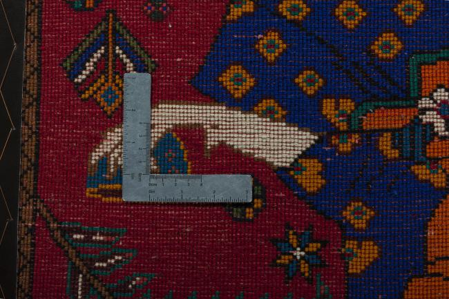 Shiraz - 4