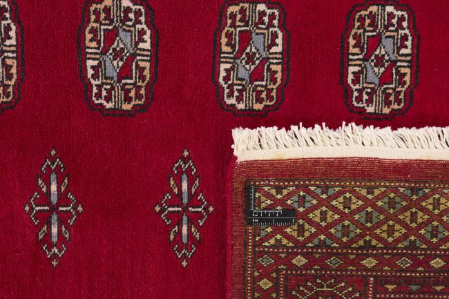 Pakistan Buchara 2ply - 1