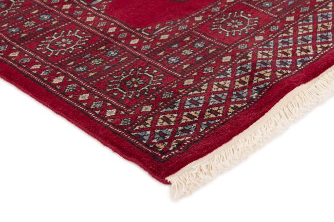 Pakistan Buchara 2ply - 3