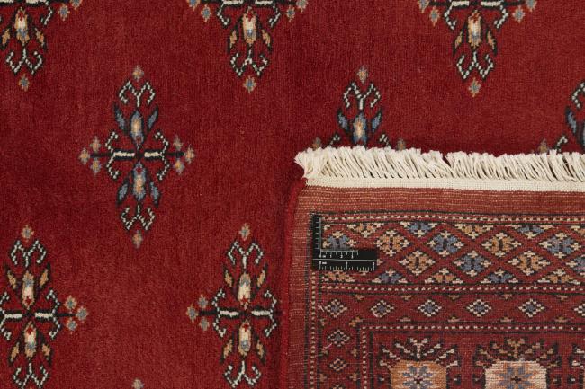 Pakistan Buchara 2ply - 1