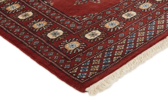 Pakistan Buchara 2ply - 3