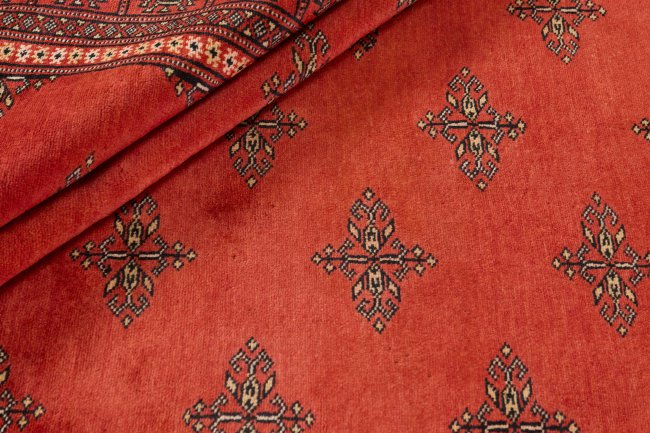 Pakistan Buchara 2ply - 2