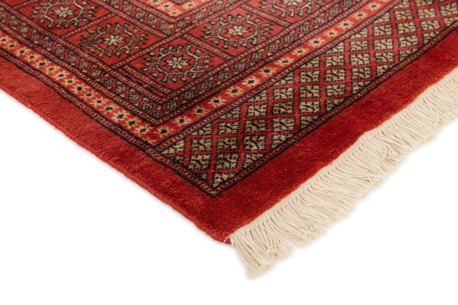 Pakistan Buchara 2ply - 3
