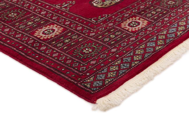 Pakistan Buchara 2ply - 3