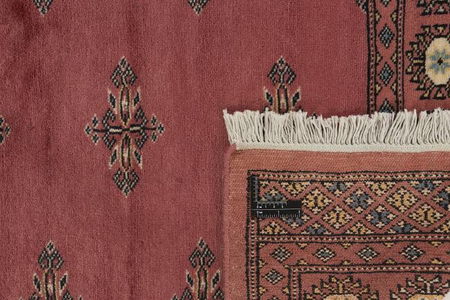 Pakistan Buchara 2ply - 1