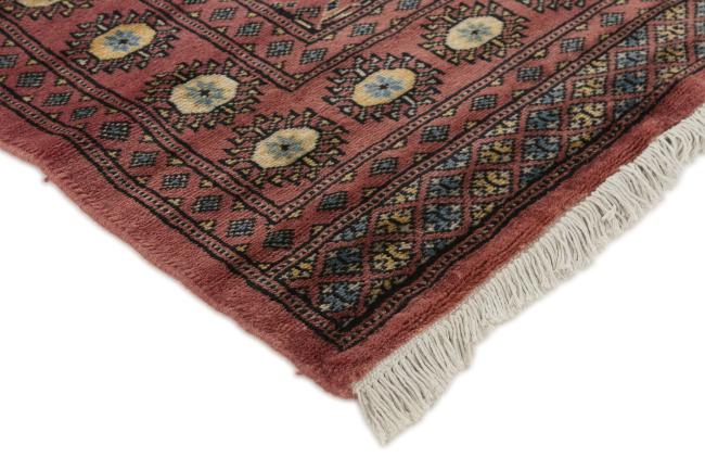 Pakistan Buchara 2ply - 3