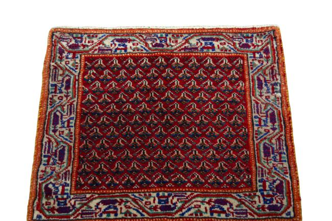Shiraz - 3
