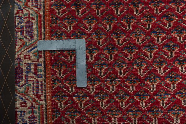 Shiraz - 4