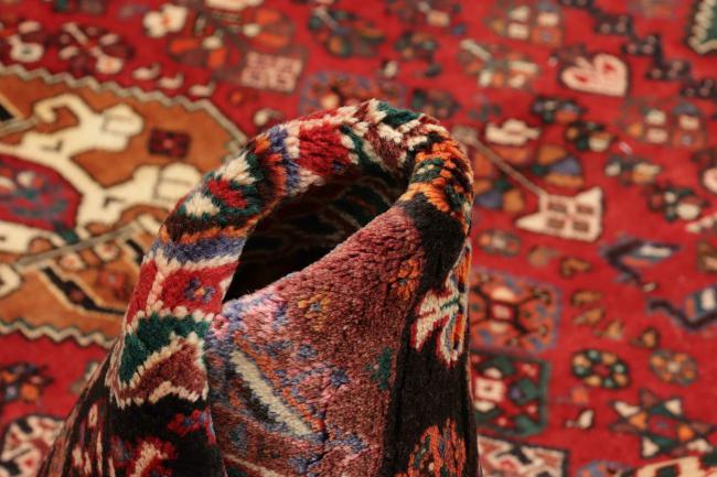 Shiraz - 10