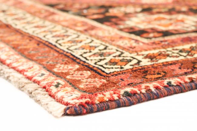 Shiraz - 2