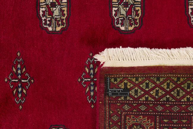 Pakistan Buchara 2ply - 1