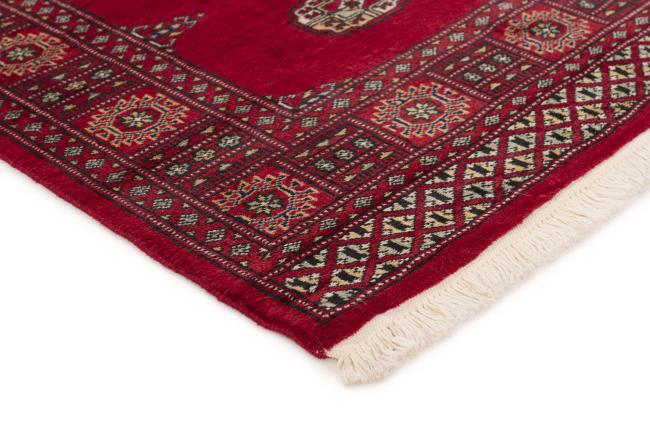 Pakistan Buchara 2ply - 3