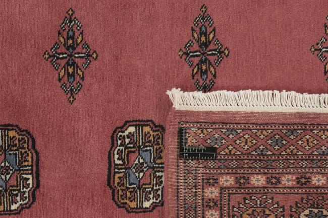 Pakistan Buchara 2ply - 1