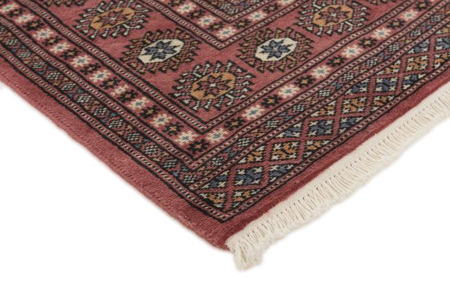 Pakistan Buchara 2ply - 3