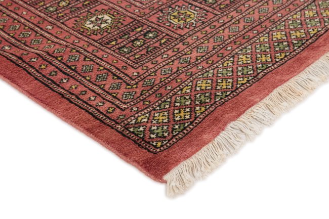 Pakistan Buchara 2ply - 3
