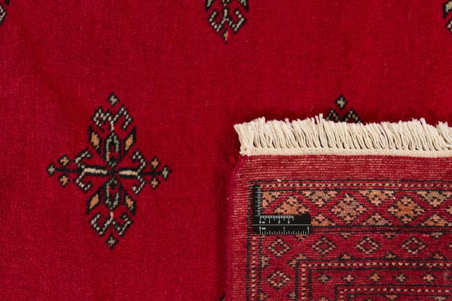 Pakistan Buchara 2ply - 1