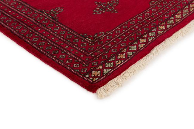 Pakistan Buchara 2ply - 3