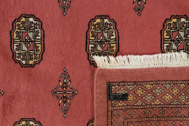 Pakistan Buchara 2ply - 1