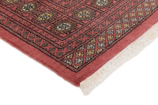 Pakistan Buchara 2ply - 3